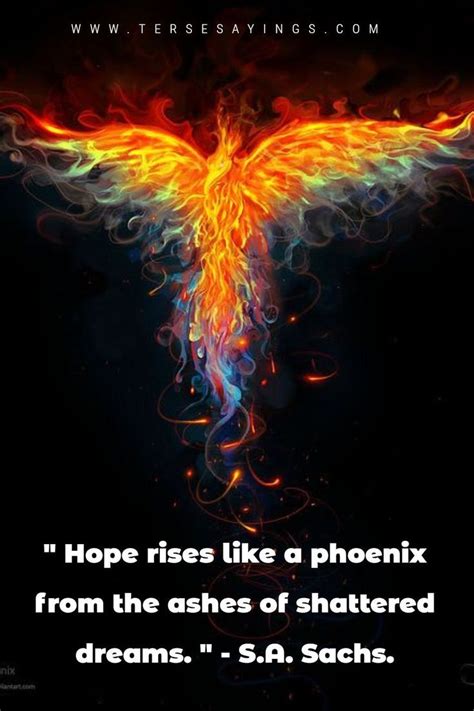 phoenix sayings|More.